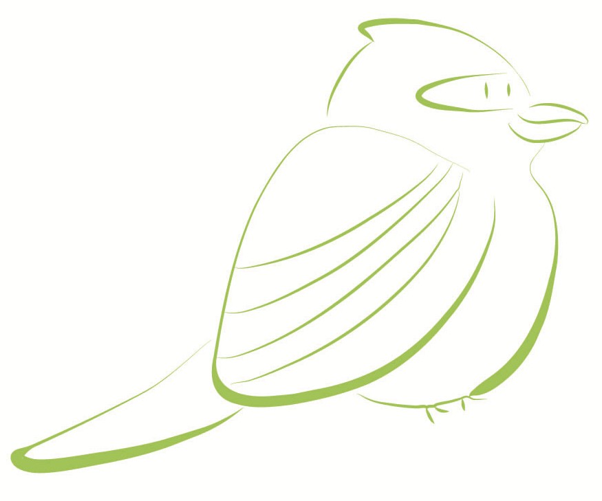 pie-grièche écorcheur